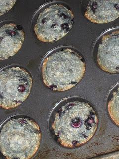 Dairy Free Blueberry Oatmeal Muffins