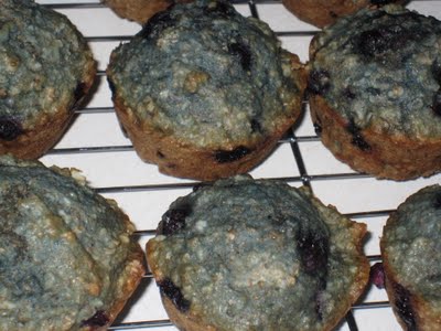 Dairy Free Blueberry Oatmeal Muffins