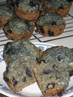 Dairy Free Blueberry Oatmeal Muffins