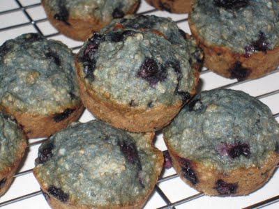 Dairy Free Blueberry Oatmeal Muffins