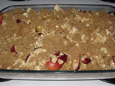 Apple Brown Betty with Oats