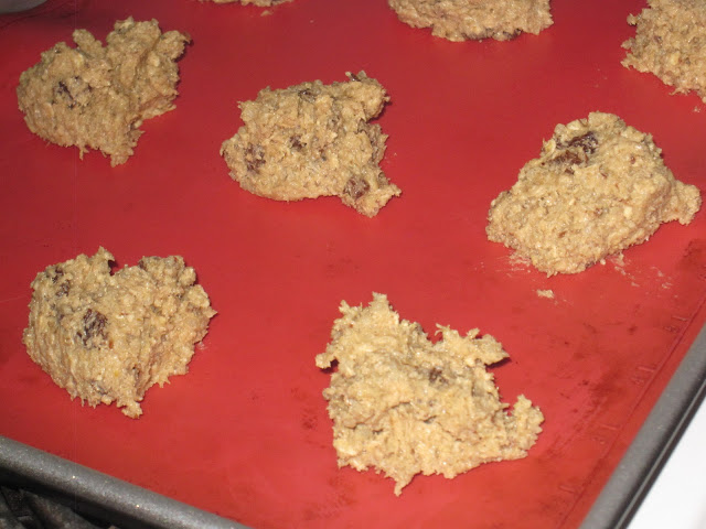 Quinoa Oatmeal Raisin Cookies