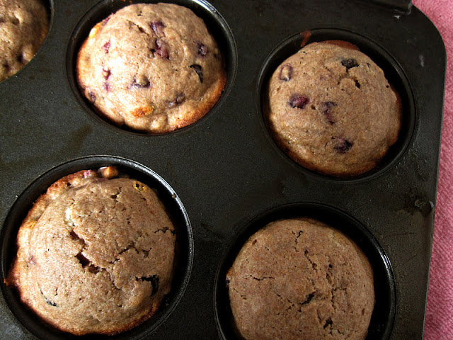 Chocolate Chip Pomegranate Muffins