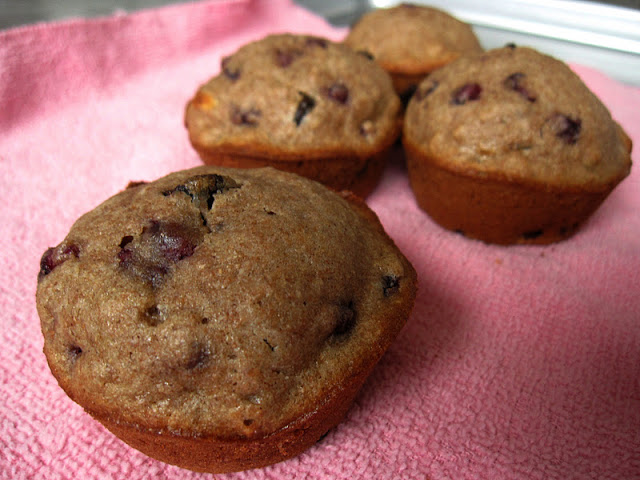 Chocolate Chip Pomegranate Muffins