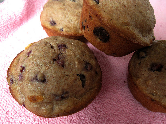 Chocolate Chip Pomegranate Muffins