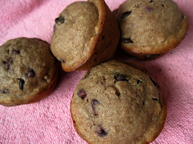 Chocolate Chip Pomegranate Muffins