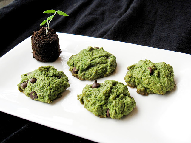 Green Mint Chocolate Chip Cookies