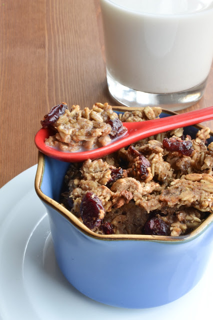 Cranberry Oatmeal Cookie Cereal