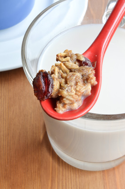 Cranberry Oatmeal Cookie Cereal