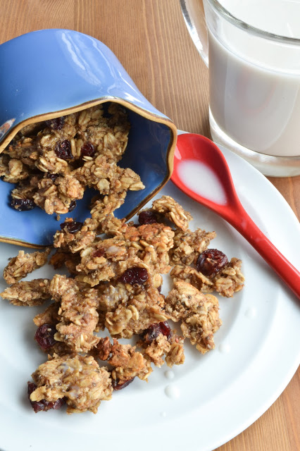 Cranberry Oatmeal Cookie Cereal