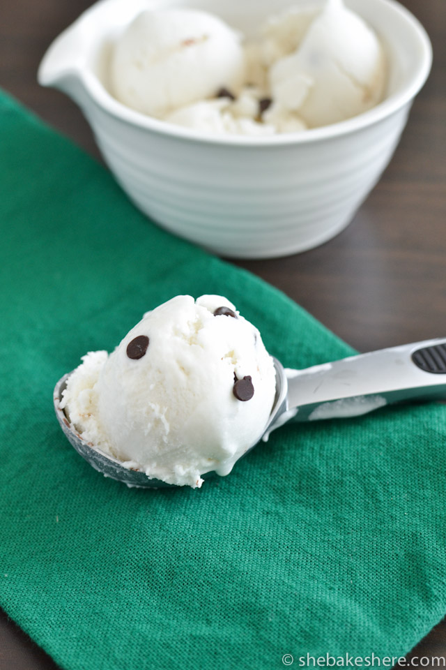 Homemade Vegan Mint Chip Ice Cream