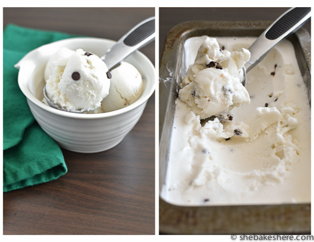 Homemade Vegan Mint Chip Ice Cream