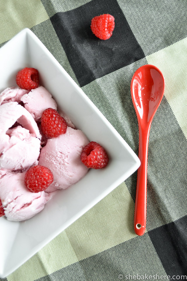 Raspberry Coconut Milk Ice Cream