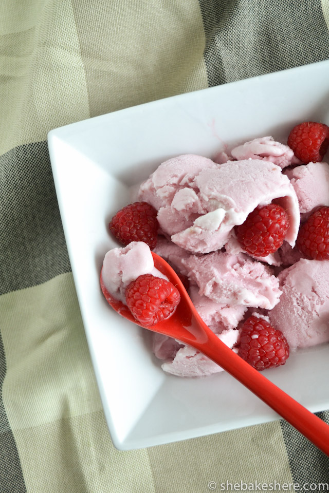 Raspberry Coconut Milk Ice Cream