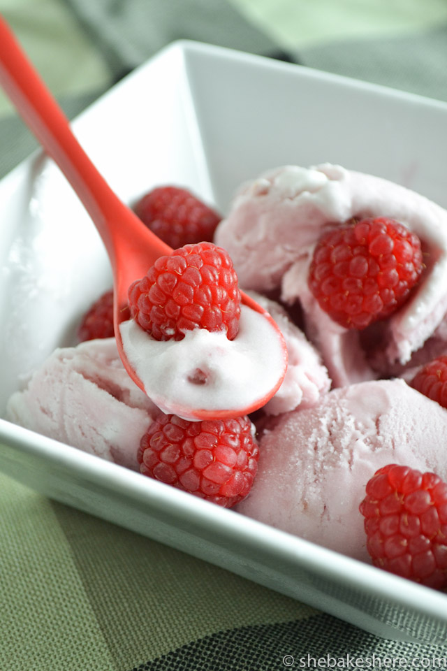 Raspberry Coconut Milk Ice Cream