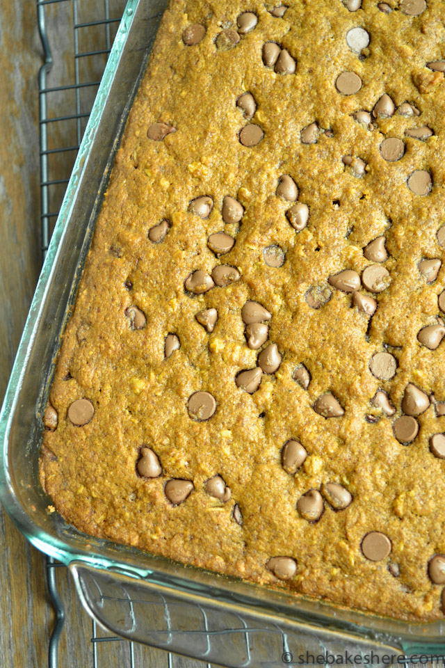 Pumpkin Chocolate Chip Oatmeal Cake