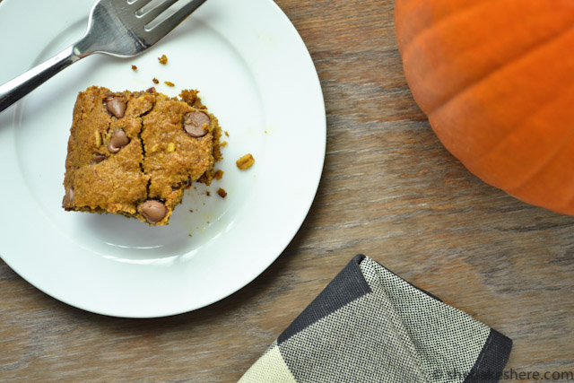 Pumpkin Chocolate Chip Oatmeal Cake