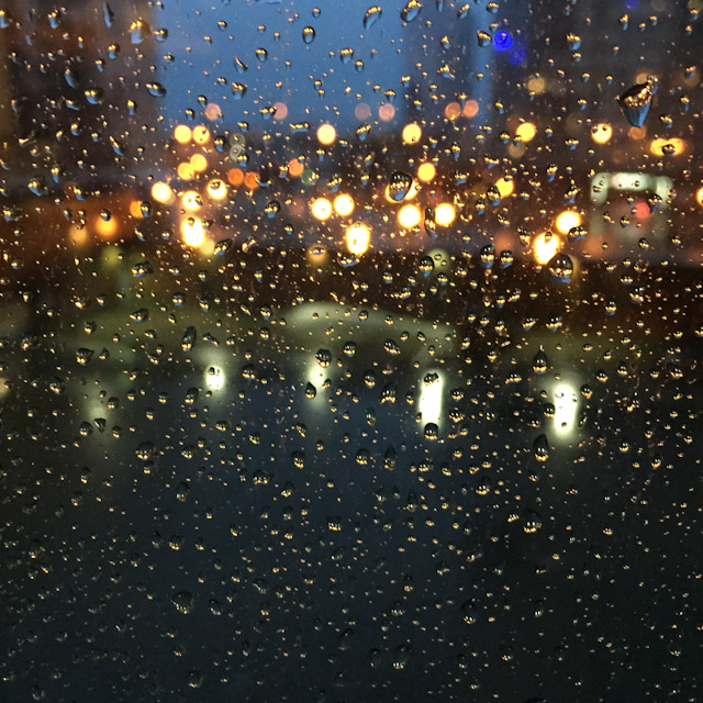 5 Fun Things I Did Last Month Instead of Blogging