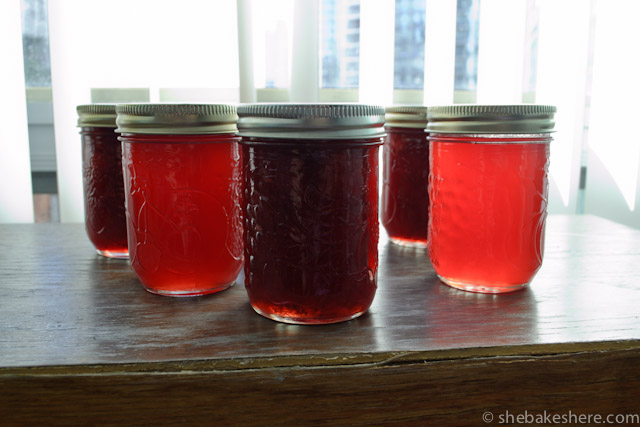 Adventures in Jam Making